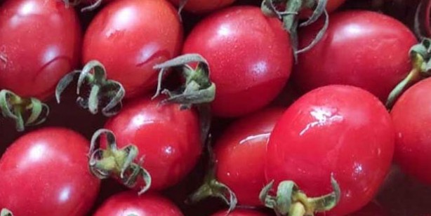 Foto - Her sağlık sorununa yardımcı! İşte quercetin içeren 5 besin