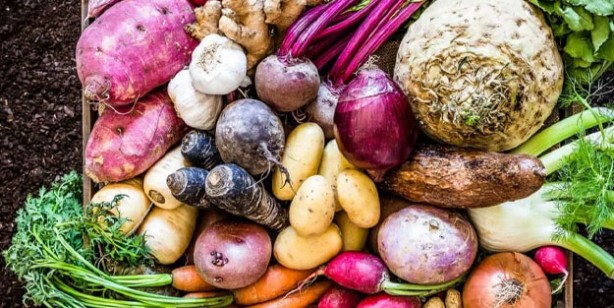 Foto - Her sağlık sorununa yardımcı! İşte quercetin içeren 5 besin