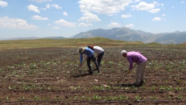 Foto - Her şey terörün bitmesiyle başladı... PKK’nın temi̇zlenmesi̇ sonrası bir ilk!