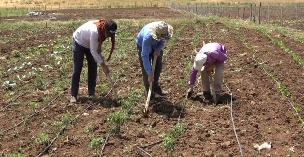 Foto - Her şey terörün bitmesiyle başladı... PKK’nın temi̇zlenmesi̇ sonrası bir ilk!