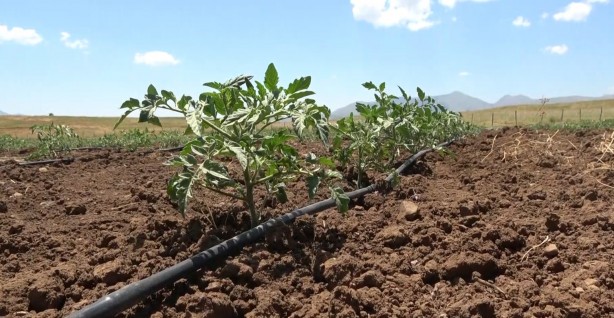 Foto - Her şey terörün bitmesiyle başladı... PKK’nın temi̇zlenmesi̇ sonrası bir ilk!