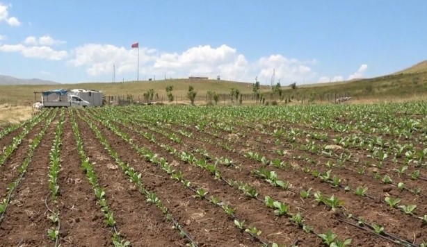 Foto - Her şey terörün bitmesiyle başladı... PKK’nın temi̇zlenmesi̇ sonrası bir ilk!