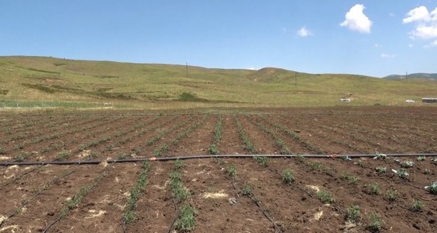 Foto - Her şey terörün bitmesiyle başladı... PKK’nın temi̇zlenmesi̇ sonrası bir ilk!