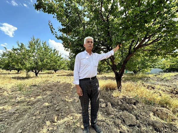 Foto - Her şey üst üste geldi! Kayısı üreticisi kara kara düşünüyor