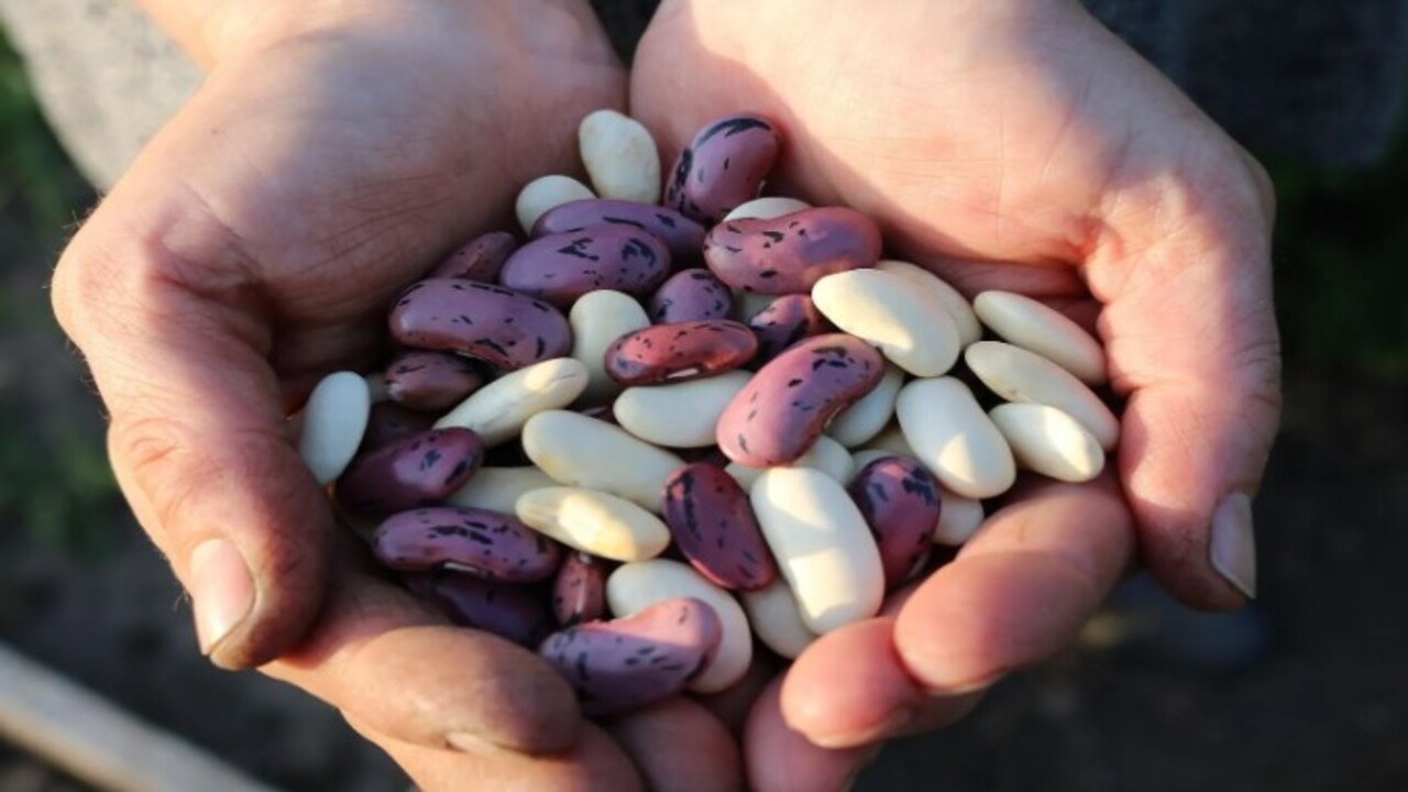 Foto - Her sofrada bulunuyor! Dünyanın en tehlikeli besinleri açıklandı