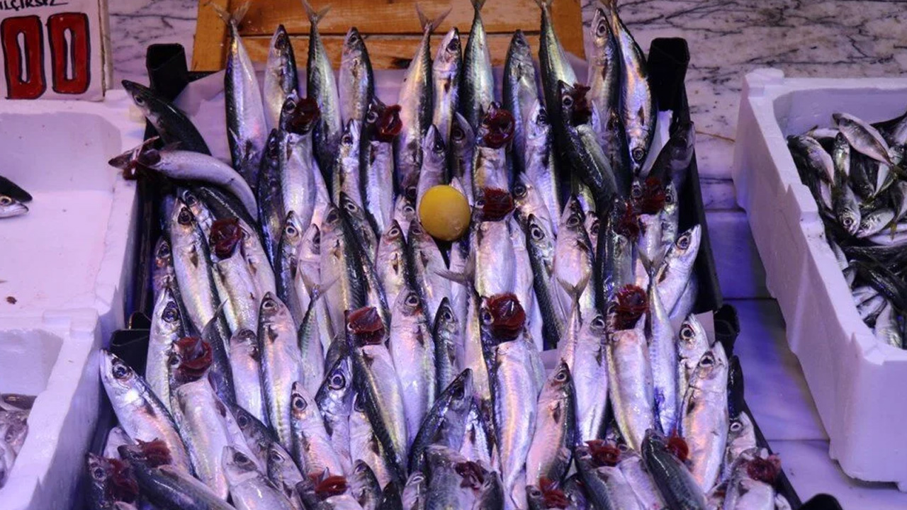 Foto - Her tezgahta bol bol var! Uygun fiyatıyla hamsiyi geride bıraktı