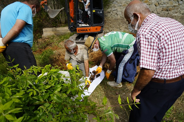 Foto - Her yaz sular altında kalıyordu! O mezarlık artık taşınıyor