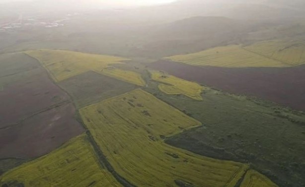 Foto - Her yer kiremit rengine bezendi! Çöl tozunun bilinmeyen etkisini açıkladılar