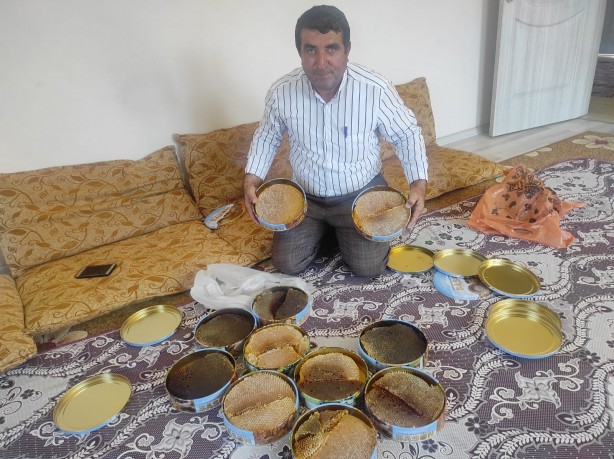 Foto - Her yerde bulamazsınız! Ağaç kovuğundan çıkıyor fiyatı cep yakıyor