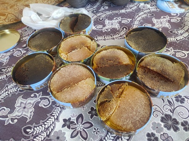 Foto - Her yerde bulamazsınız! Ağaç kovuğundan çıkıyor fiyatı cep yakıyor