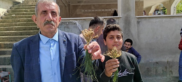 Foto - Her yerde bulunmuyor! Kilosu bin lira ama yok satıyor