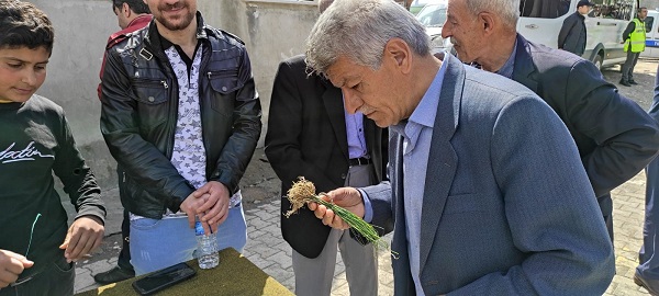 Foto - Her yerde bulunmuyor! Kilosu bin lira ama yok satıyor