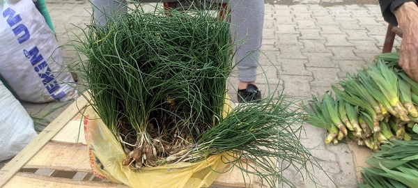 Foto - Her yerde bulunmuyor! Kilosu bin lira ama yok satıyor