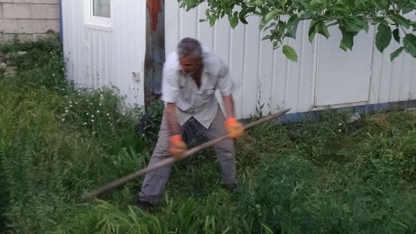 Foto - Her yerden çıkıyorlar! Vatandaşlar tedirgin