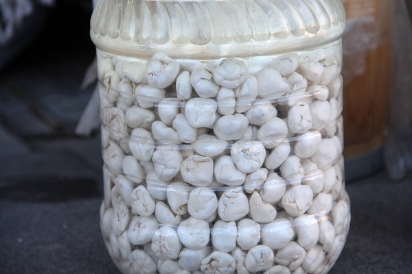 Her yerden talep var! Altın fiyatını ikiye katlayan sakız