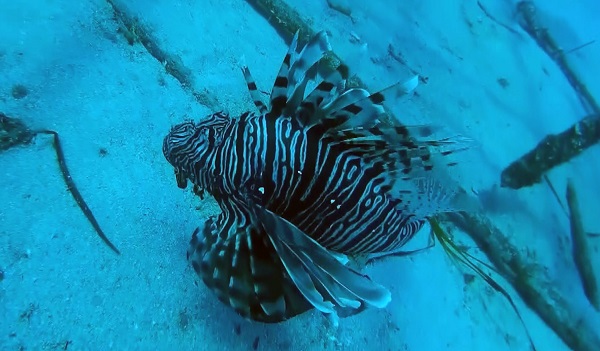 Foto - Her yıl 5 metre daha yükseğe çıkıyor! Denizlerle ilgili korkutan gerçek