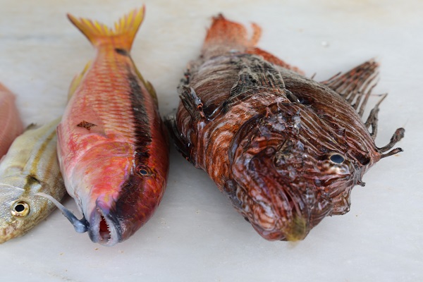 Foto - Her yıl 5 metre daha yükseğe çıkıyor! Denizlerle ilgili korkutan gerçek