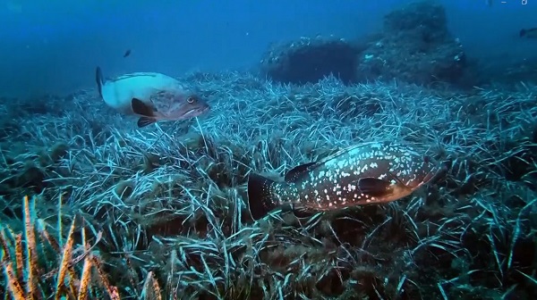 Her yıl 5 metre daha yükseğe çıkıyor! Denizlerle ilgili korkutan gerçek