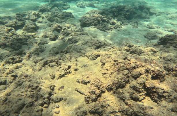 Foto - Her yıl artarak devam edecek! Doğu Akdeniz'de hesapta olmayan değişim