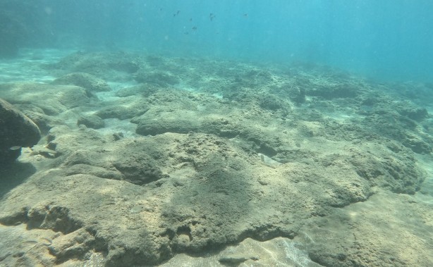 Foto - Her yıl artarak devam edecek! Doğu Akdeniz'de hesapta olmayan değişim