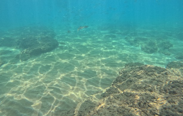 Her yıl artarak devam edecek! Doğu Akdeniz'de hesapta olmayan değişim