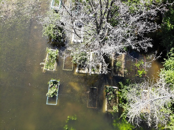 Foto - Her yıl aynı olay tekrarlanıyor! O ilde mezarlar sular altında kaldı