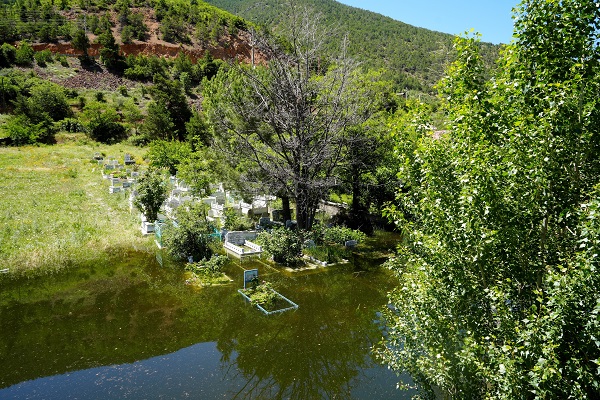Foto - Her yıl aynı olay tekrarlanıyor! O ilde mezarlar sular altında kaldı