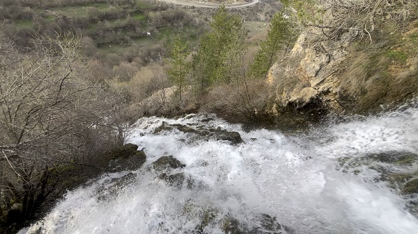 Foto - Her yıl aynı zamanda çıkıyor! Herkes bu ilginç doğa olayını konuşuyor