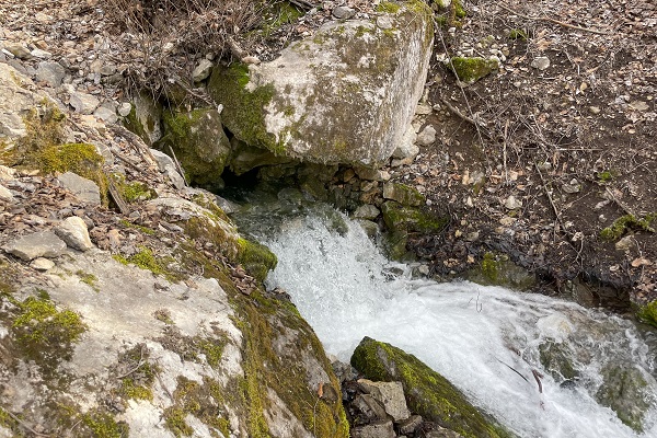 Foto - Her yıl aynı zamanda çıkıyor! Herkes bu ilginç doğa olayını konuşuyor