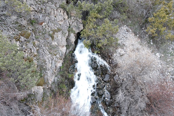 Foto - Her yıl aynı zamanda çıkıyor! Herkes bu ilginç doğa olayını konuşuyor