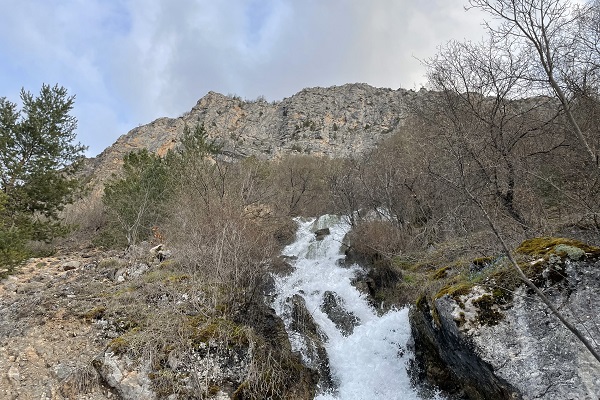 Foto - Her yıl aynı zamanda çıkıyor! Herkes bu ilginç doğa olayını konuşuyor