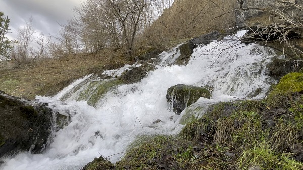 Foto - Her yıl aynı zamanda çıkıyor! Herkes bu ilginç doğa olayını konuşuyor