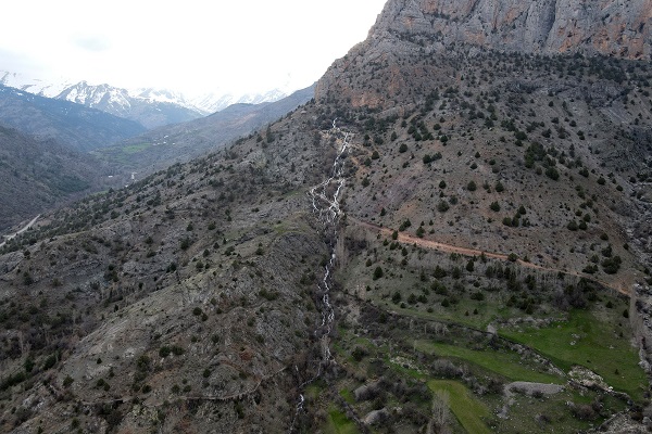Foto - Her yıl aynı zamanda çıkıyor! Herkes bu ilginç doğa olayını konuşuyor