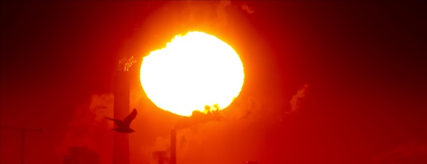 Foto - Her zamankinden hızlı ilerliyor! Tüm zamanların en yüksek seviyesinde