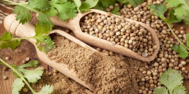 Foto - Her zerresinden şifa akıyor! Resmen yıllardır burnumuzun dibindeymiş… Adeta mucizevi bir ilaç! Sizi zıpkın gibi, fişek gibi, demir gibi yapacak 