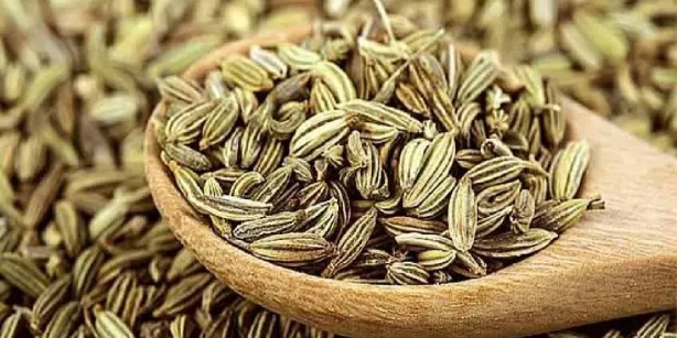 Foto - Her zerresinden şifa akıyor! Resmen yıllardır burnumuzun dibindeymiş… Adeta mucizevi bir ilaç! Sizi zıpkın gibi, fişek gibi, demir gibi yapacak 