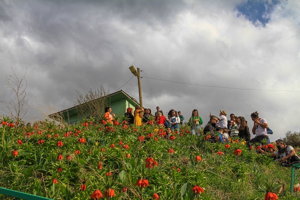 Foto - Herkes ‘Ağlayan gelin’i görmeye gidiyor