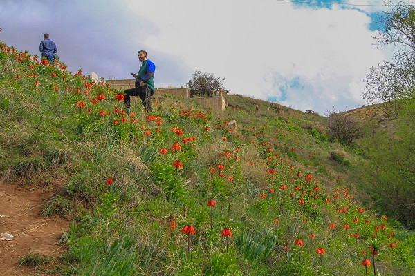 Foto - Herkes ‘Ağlayan gelin’i görmeye gidiyor