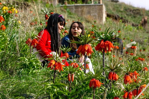Foto - Herkes ‘Ağlayan gelin’i görmeye gidiyor