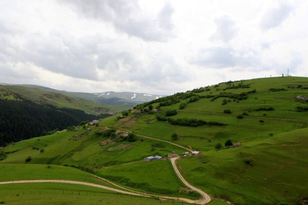 Herkes Ayder'i biliyor ama! İşte Karadeniz'in saklanan yaylası...