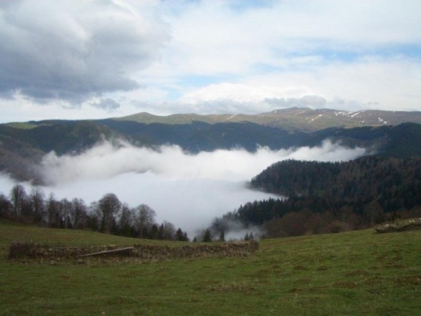 Foto - Herkes Ayder'i biliyor ama! İşte Karadeniz'in saklanan yaylası...