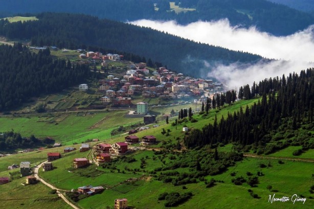 Foto - Herkes Ayder'i biliyor ama! İşte Karadeniz'in saklanan yaylası...