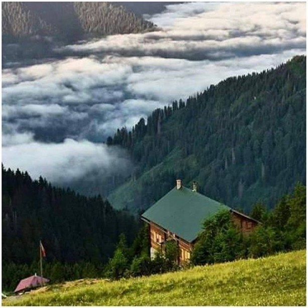 Foto - Herkes Ayder'i biliyor ama! İşte Karadeniz'in saklanan yaylası...