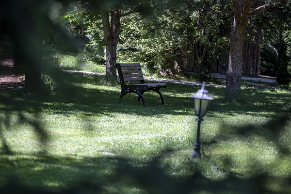 Foto - Herkes bu bahçeye akın ediyor