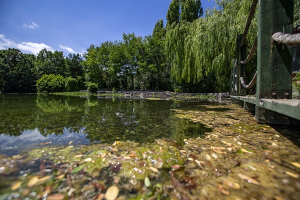 Foto - Herkes bu bahçeye akın ediyor