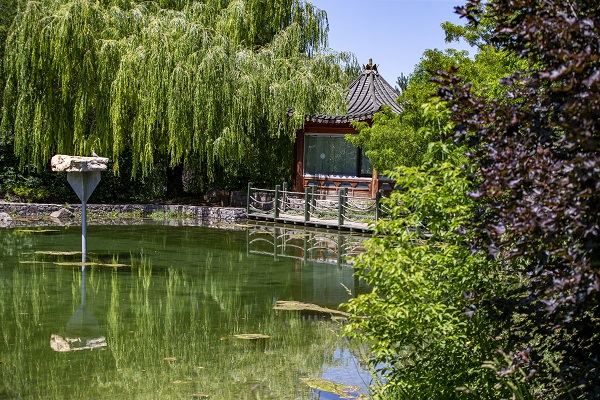 Foto - Herkes bu bahçeye akın ediyor