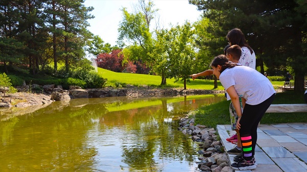 Foto - Herkes bu bahçeye akın ediyor! 
