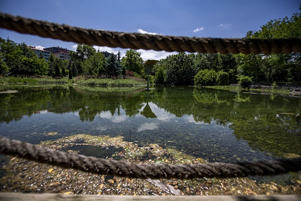 Foto - Herkes bu bahçeye akın ediyor