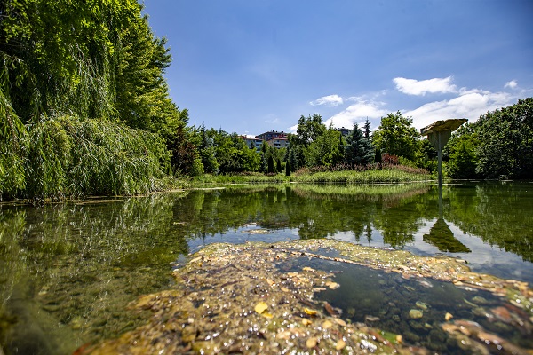 Foto - Herkes bu bahçeye akın ediyor