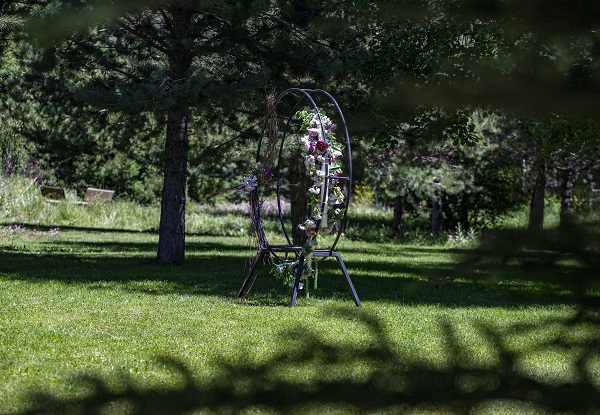 Foto - Herkes bu bahçeye akın ediyor